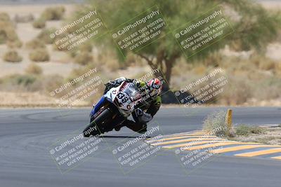 media/May-14-2023-SoCal Trackdays (Sun) [[024eb53b40]]/Turn 5 Tree of Life (1125am)/